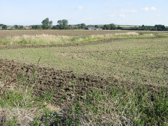 Photo 6"x4" View NE across farmland Hoo\/TR2964 c2008