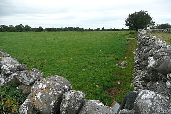 Photo 6"x4" Pasture at Tawnagh Brideswell\/M9444 c2008