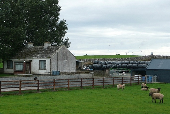 Photo 6"x4" Smallholding at Feacle Brideswell\/M9444 c2008