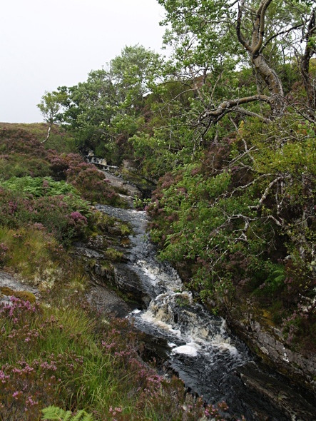 Photo 6"x4" Allt Leathad Doire Ruaidhe Allt Liathdoire c2008