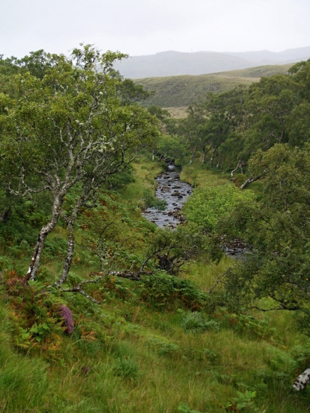 Photo 6"x4" Allt Liathdoire Clar Loch M\u00f2r c2008
