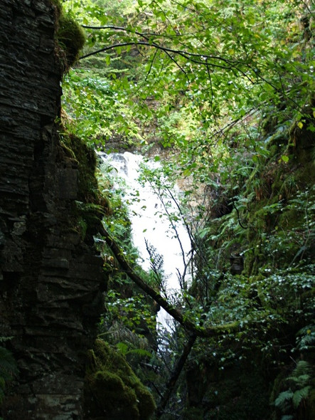 Photo 6"x4" Waterfall, Braemore wood Clachan\/NH1784 c2008