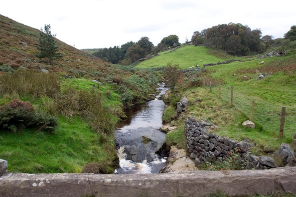 Photo 6"x4" View upstream from Brandstone Bridge Ashfold Side c2008