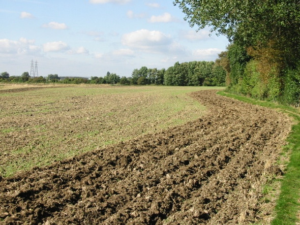 Photo 6"x4" Footpath along edge of field Hoo\/TR2964 c2008