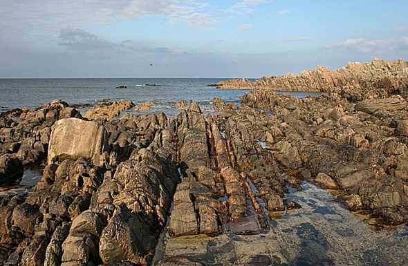Photo 6"x4" Logie Head Cullen\/NJ5167 c2008