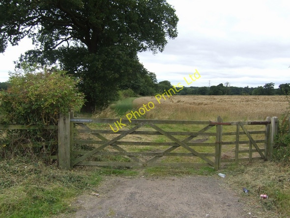 Photo 6"x4" Field boundary Gunstone c2007