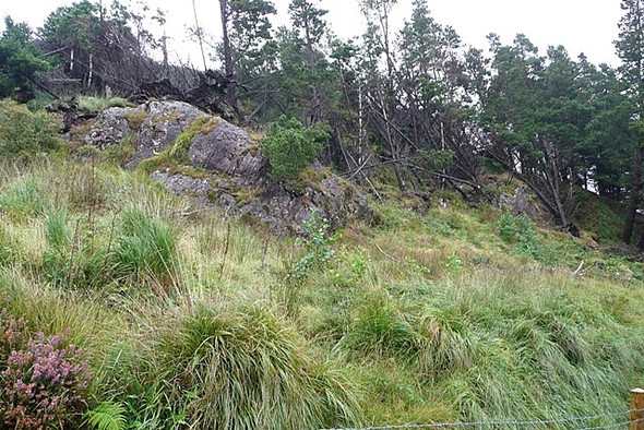 Photo 6"x4" Rock outcrop in Lettershanbally forest Illion c2008