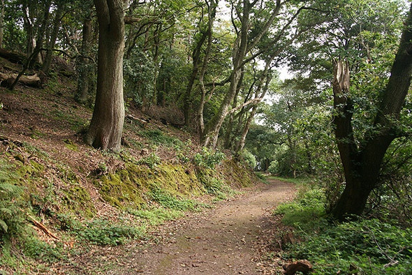 Photo 6"x4" Maker with Rame: above Picklecombe Point Cremyll c2008
