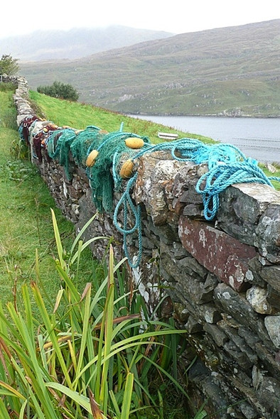 Photo 6"x4" Mussel nets Glassillaun c2008