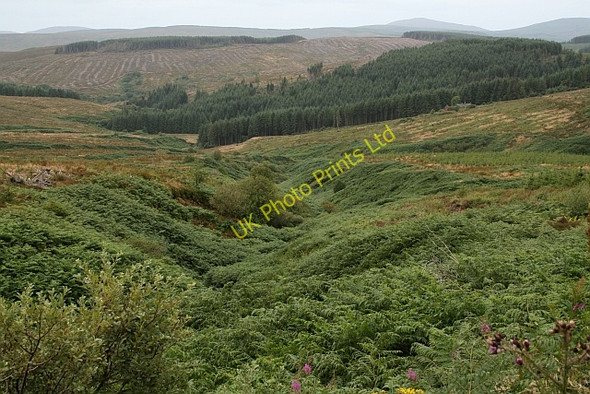 Photo 6"x4" Allt na Boine Duibhe and Arinascavach. Arinascavach c2007