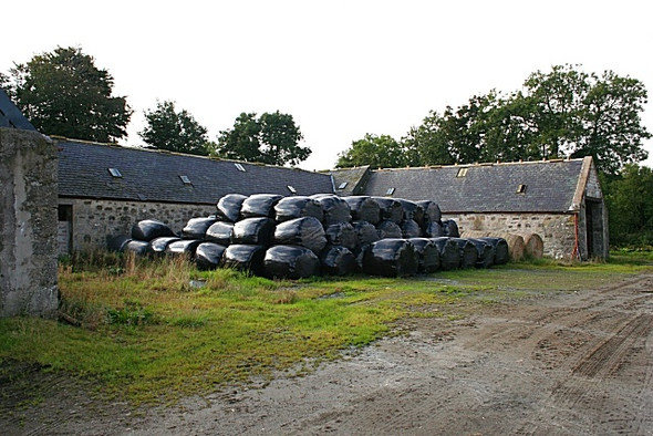 Photo 6"x4" Denend of Drumdollo Drumdollo c2008