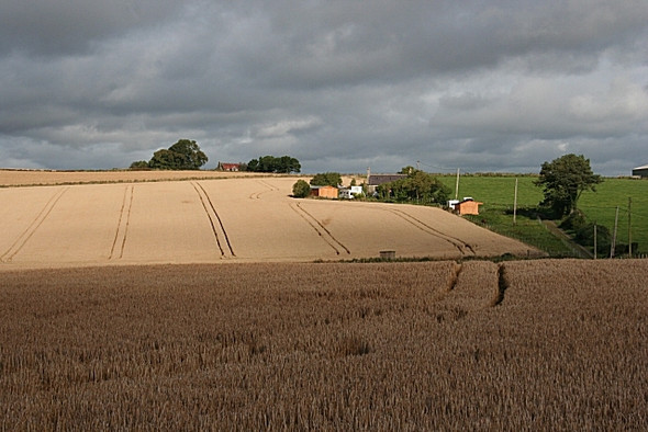 Photo 6"x4" Cottown of Drumdollo Drumdollo c2008