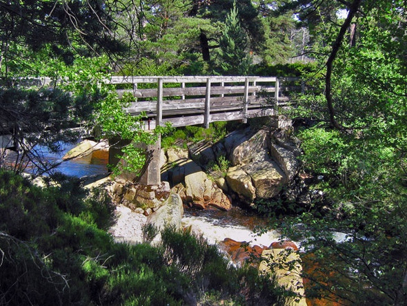 Photo 6"x4" Footbridge over the Water of Tanar, near the Half Way Hut Inchmarnoch c2008
