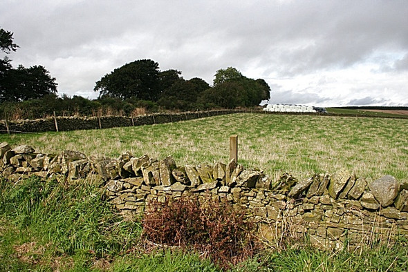 Photo 6"x4" By the Road to Downies Forgue\/NJ6145 c2008