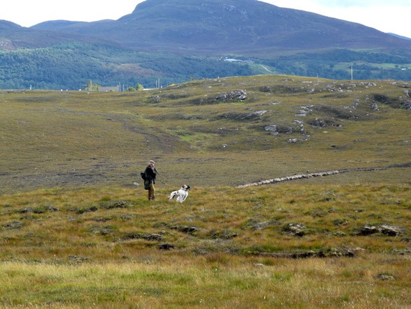 Photo 6"x4" Moorland above Talmine Talmine c2008