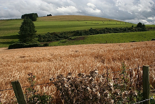 Photo 6"x4" Kirk Hill Balgaveny c2008