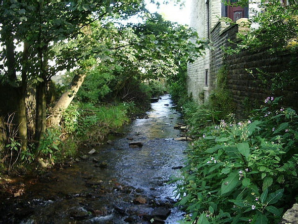 Photo 6"x4" Cowpe Brook, Hugh Mill Hugh Mill c2008