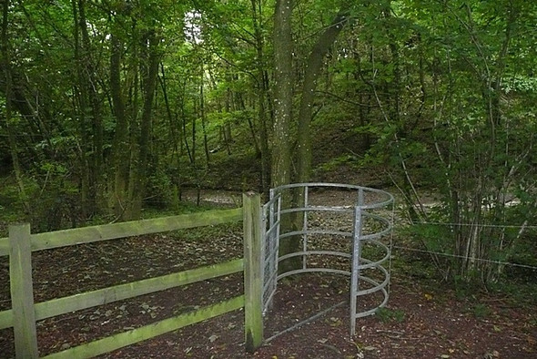 Photo 6"x4" Kissing gate in Winterslow Wood East Winterslow c2008
