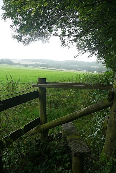 Photo 6"x4" Farmland north of Middle Winterslow Commo c2008