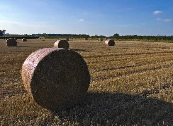 Photo 6"x4" West of Kilnwick Lane, Lockington Kilnwick c2008