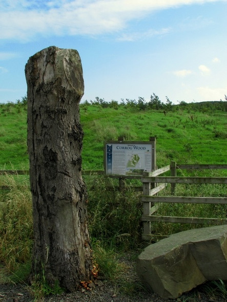 Photo 6"x4" Post and sign, Corrog Wood Portaferry c2008