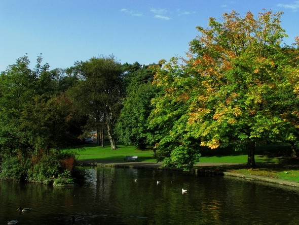 Photo 6"x4" Ward Park Bangor\/J5081 c2008