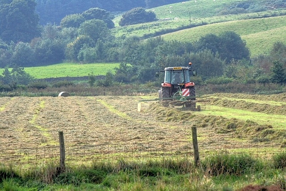 Photo 6"x4" Collecting the Hay Great Busby c2008