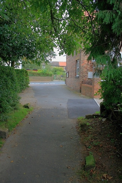 Photo 6"x4" Backers Walk Great Broughton\/NZ5406 c2008