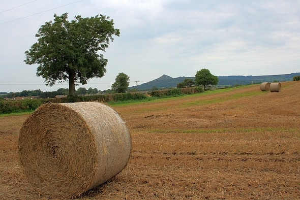 Photo 6"x4" Harvested Field, Near Ayton Firs Langbaurgh c2008
