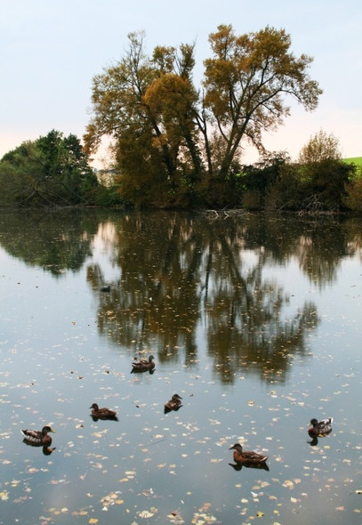 Photo 6"x4" Coldhill Pond Saxton c2008