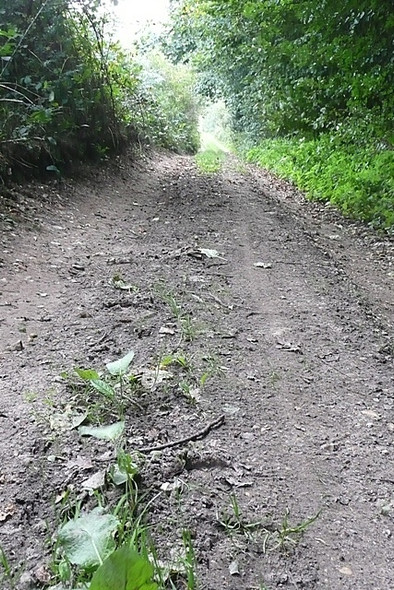 Photo 6"x4" Restricted byway south of Birch Farm Frilsham c2008