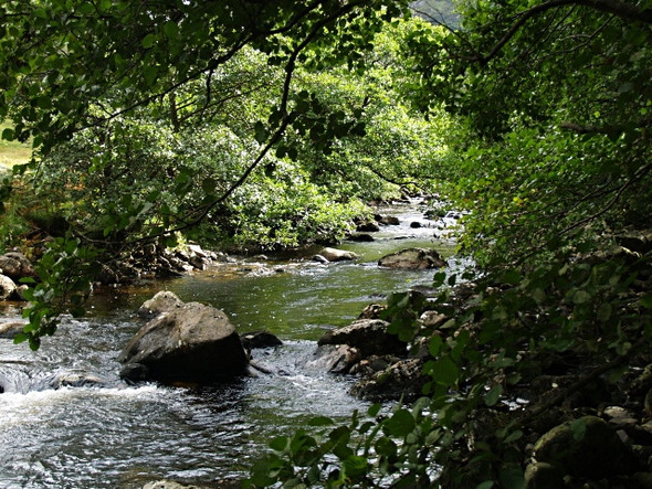 Photo 6"x4" River Arnisdale Corran\/NG8509 c2008