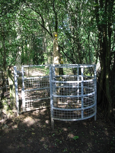 Photo 6"x4" Elham Valley way enters the woods Etchinghill\/TR1639 c2008