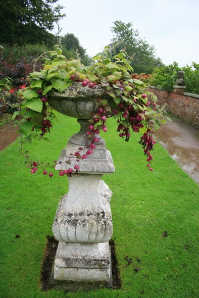 Photo 6"x4" Urn in Wallington Walled Garden Cambo\/NZ0285 c2008