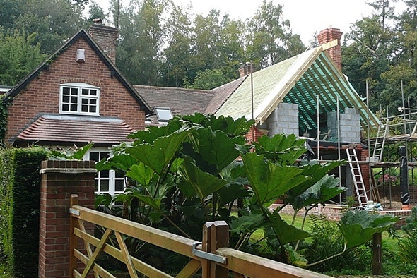 Photo 6"x4" Extension for the gunnera? Bucklebury Alley c2008