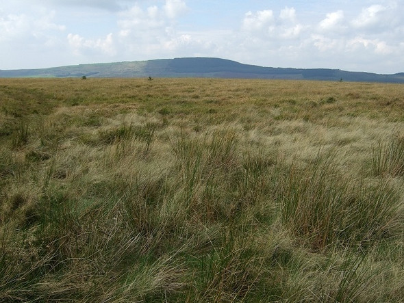 Photo 6"x4" South Eastern View from Cerdded Bro Nedd Footpath Abergarwed c2008