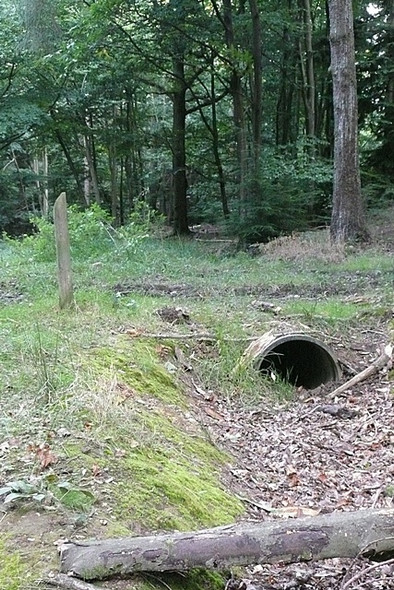 Photo 6"x4" Drain in Fence Wood Bucklebury Alley c2008