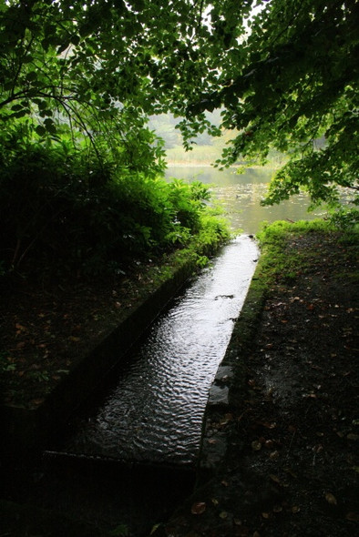 Photo 6"x4" Wallington, China Pond Outflow Cambo\/NZ0285 c2008