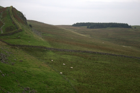 Photo 6"x4" The View West from Housesteads Crags Thorngrafton c2008