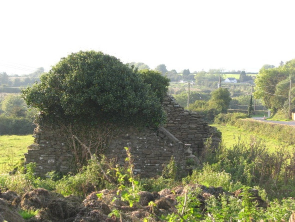 Photo 6"x4" Old ruin Crettyard c2008