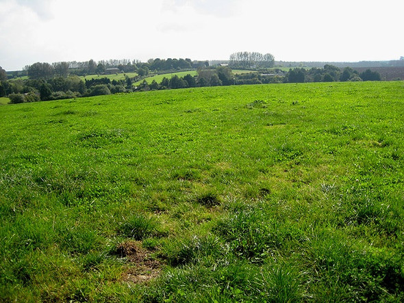 Photo 6"x4" View over the pasture land to Pencoyd Harewood End c2008