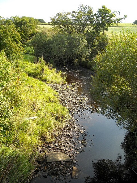 Photo 6"x4" Ardoch Burn Eaglesham c2008