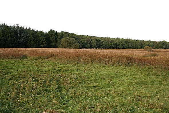 Photo 6"x4" Wet Ground by the Ton Burn Craigearn c2008