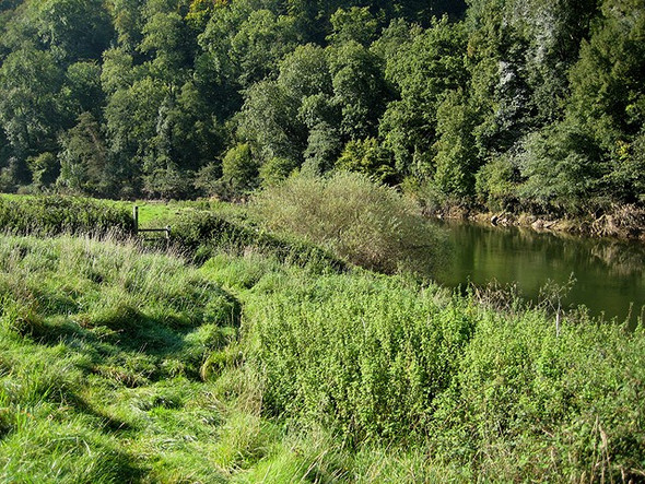 Photo 6"x4" Stile on the footpath Great Doward c2008