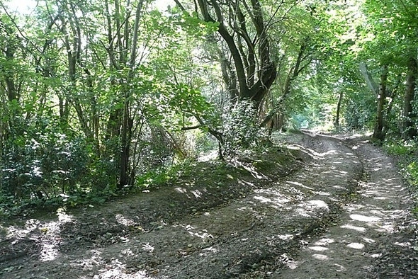 Photo 6"x4" Where three counties meet - Hampshire Linkenholt c2008