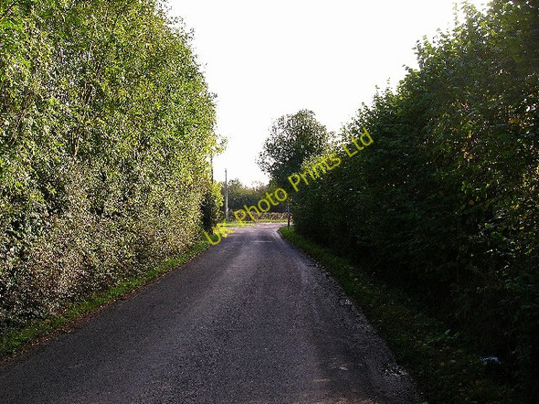 Photo 6"x4" Coltstaple Lane, near Southwater Southwater Street c2005