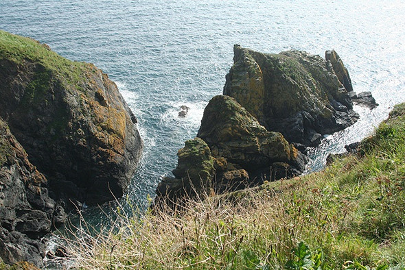 Photo 6"x4" Landewednack: Terrick Colt Cadgwith c2008