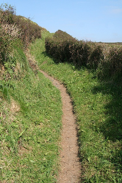 Photo 6"x4" Landewednack: South West Coast Path 2 Cadgwith c2008