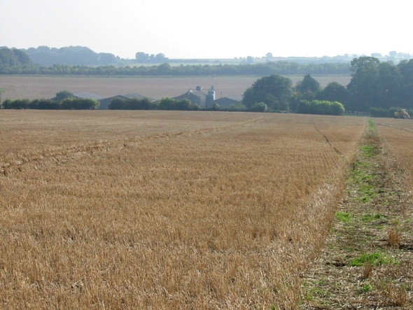 Photo 6"x4" Mailmains Farm from footpath Eythorne c2008