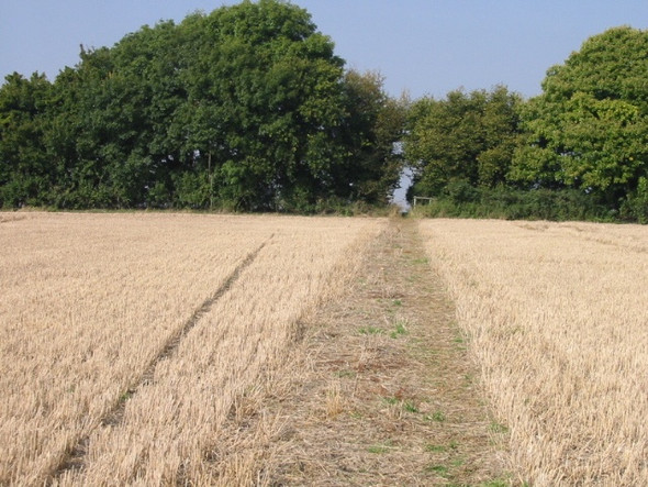 Photo 6"x4" Footpath across field of stubble Eythorne c2008